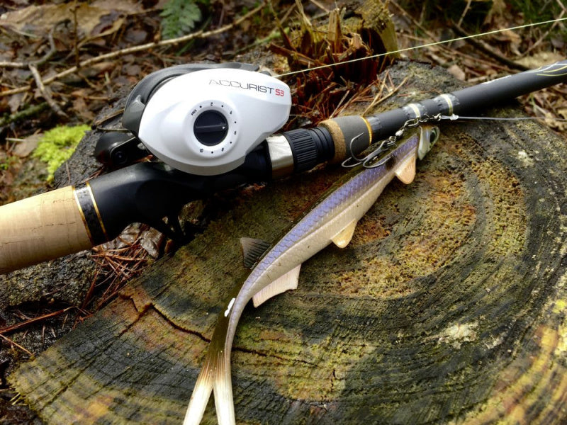 Quantum Accurist Baitcast AT101 HPT