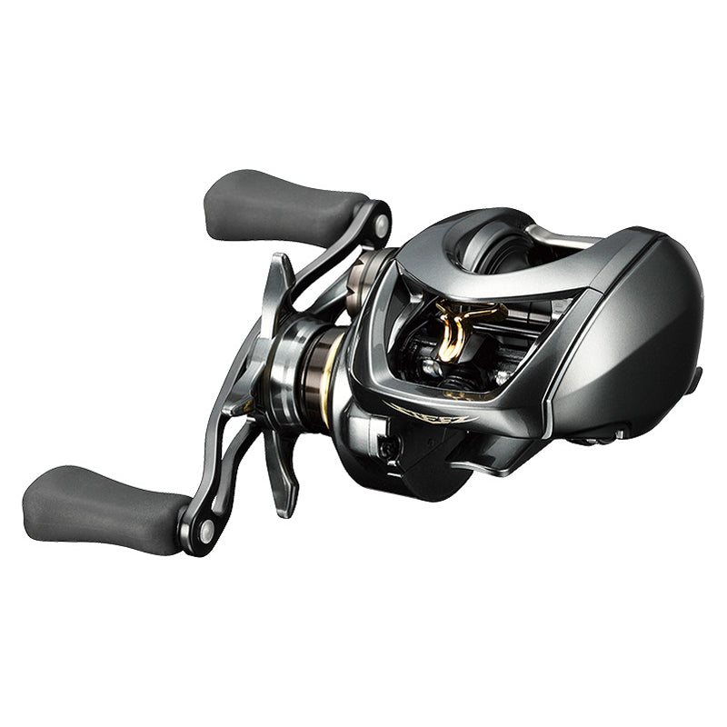  Daiwa STEEZ CT SV TW 700