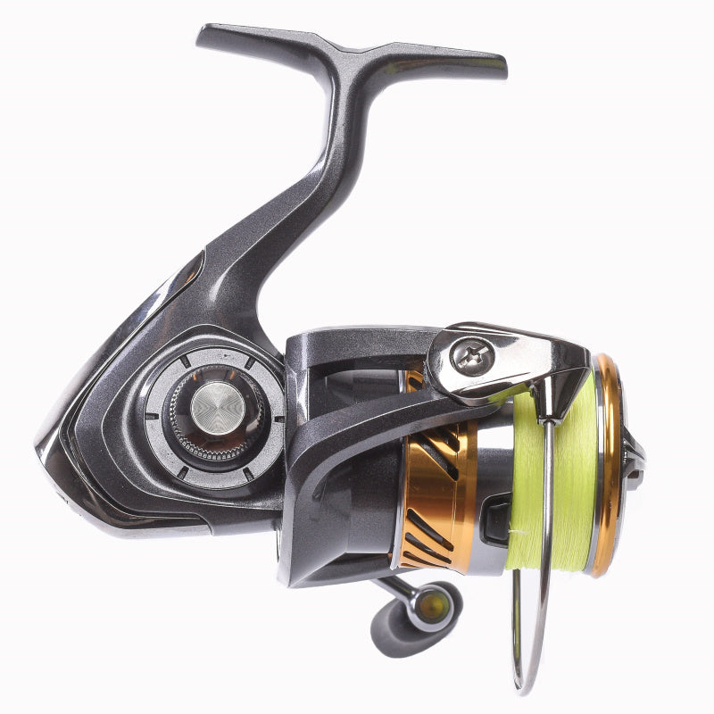  Daiwa 20 Laguna LT Incl. J-Braid X4 YL