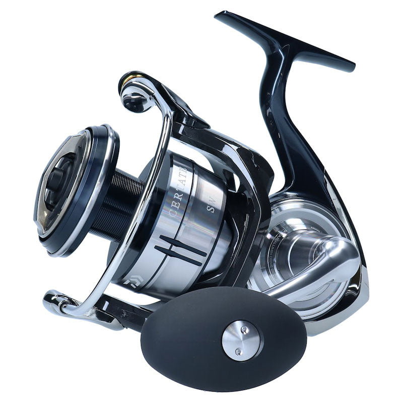  Daiwa 21 Certate SW