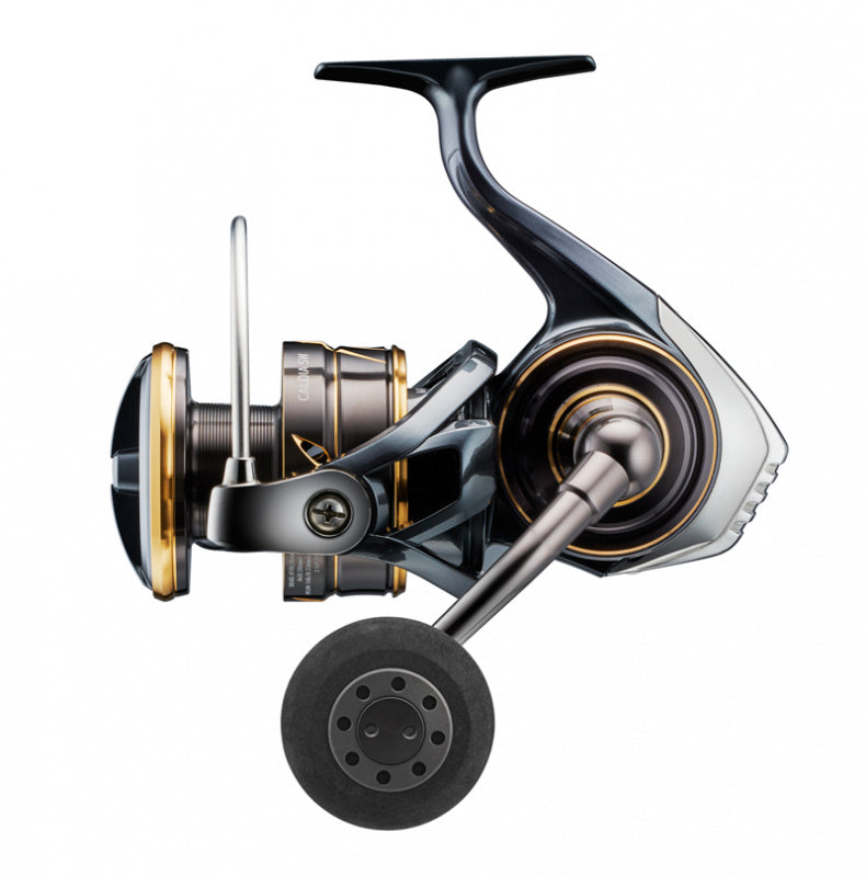  Daiwa 22 Caldia SW