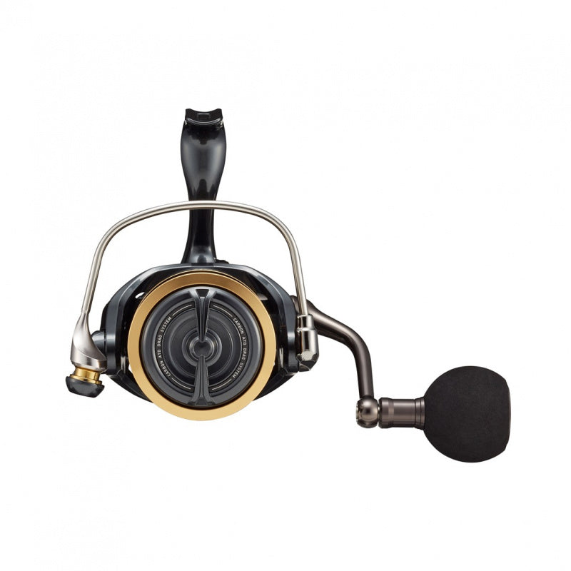  Daiwa 22 Caldia SW