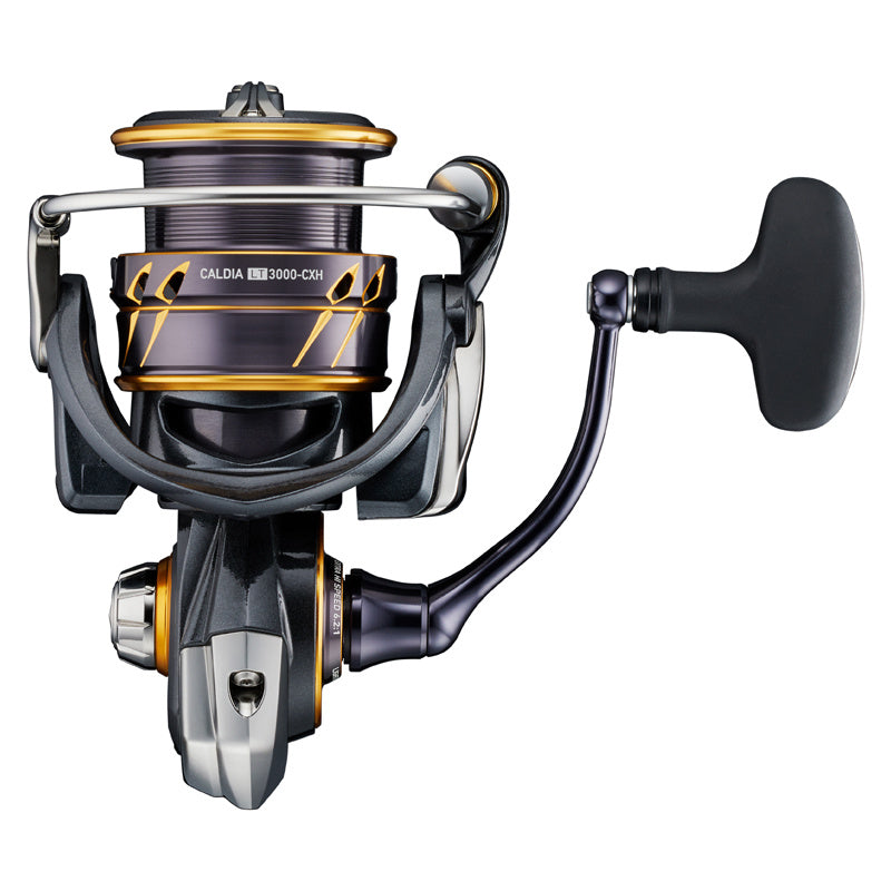  Daiwa 22 Caldia LT