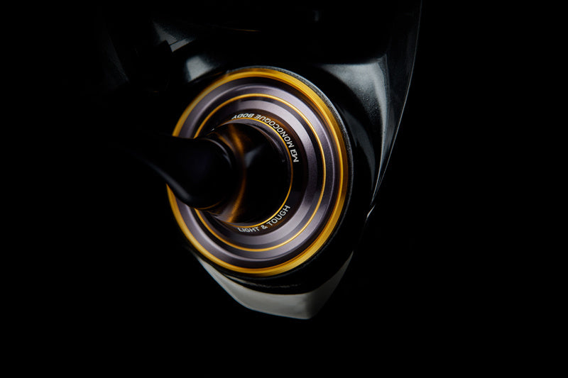  Daiwa 22 Caldia LT